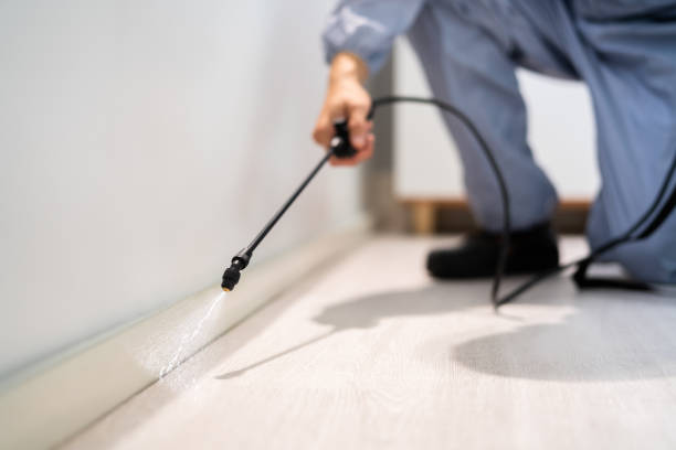 Licensed Pest Control service in McConnell AFB, KS - Show Me Pest Control