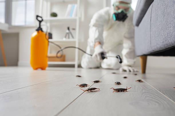 Post-Treatment Bed Bug Interceptor Monitoring in McConnell AFB