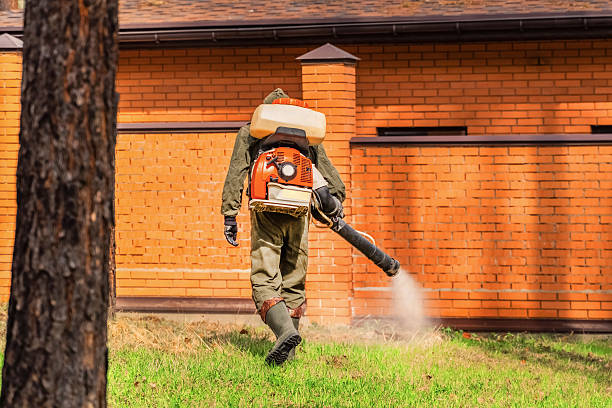 Bed Bug Clearance Verification and Documentation in McConnell AFB